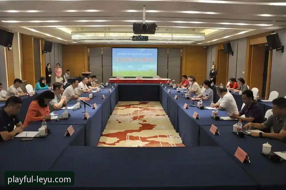 乐鱼体育平台深度解析教程：从恒大足球兴衰透视企业运营风险